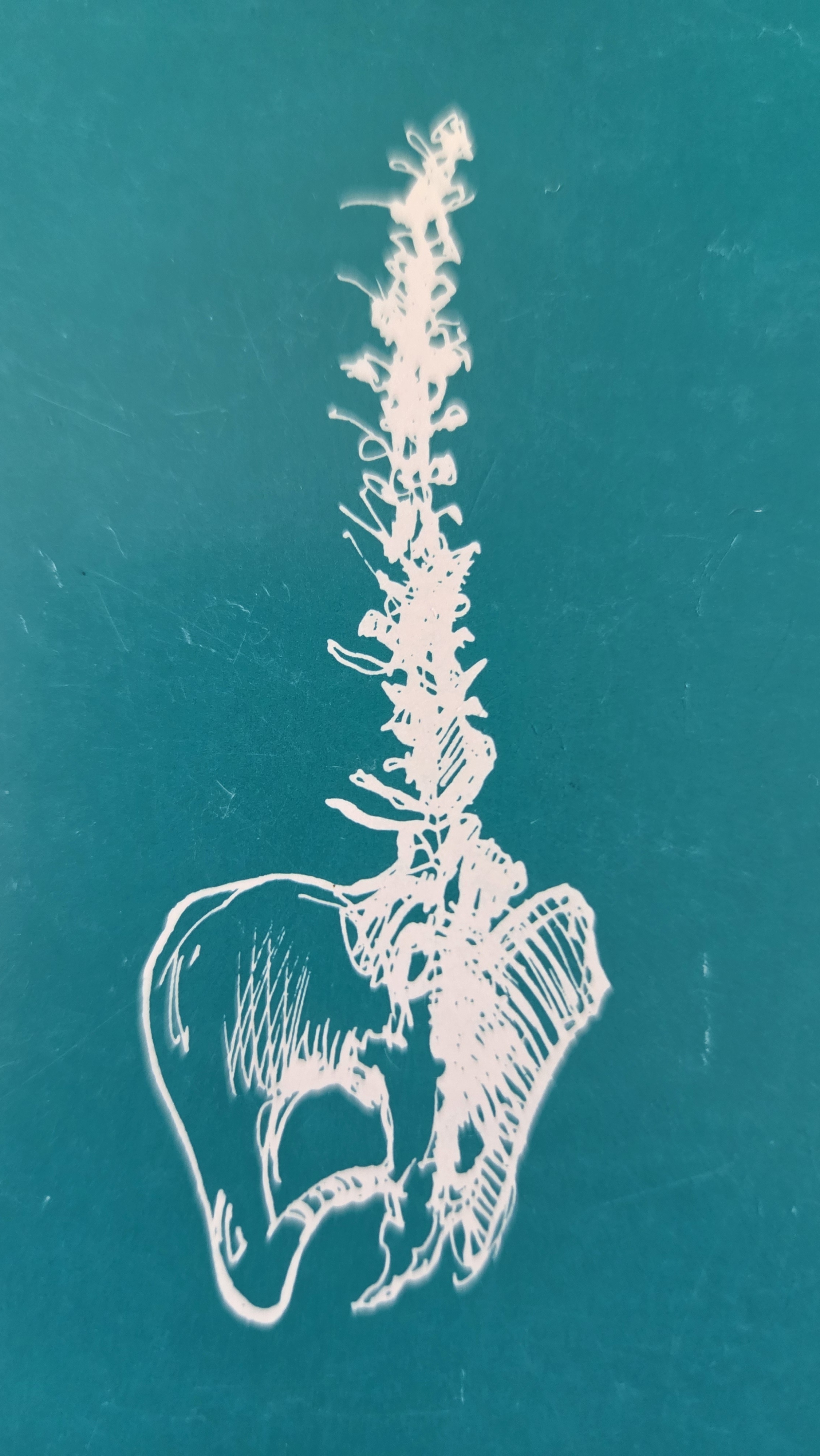 Illustration: Erik Muff Reinert